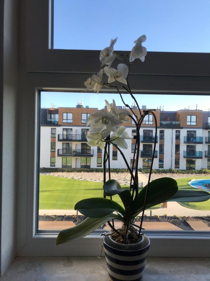 Apartament Lilia Bel Mare 米兹多洛杰 外观 照片